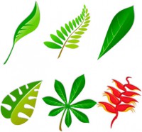 RECETAS VEGETALES
